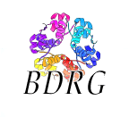 Behavioral Diabetes Research Group logo
